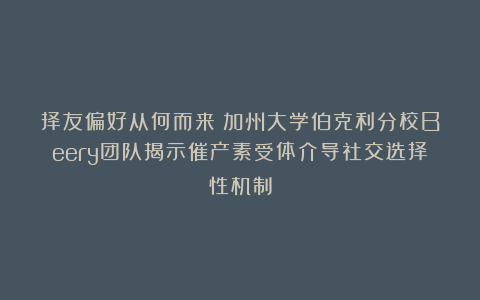 择友偏好从何而来？加州大学伯克利分校Beery团队揭示催产素受体介导社交选择性机制