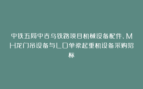 中铁五局中吉乌铁路项目机械设备配件、MH龙门吊设备与LD单梁起重机设备采购招标