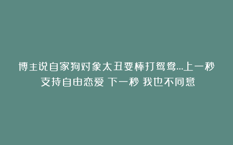 博主说自家狗对象太丑要棒打鸳鸯…上一秒：支持自由恋爱！下一秒：我也不同意！
