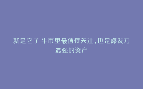 就是它了！牛市里最值得关注，也是爆发力最强的资产