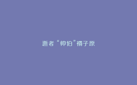 逝者|“帅伯”禤子原