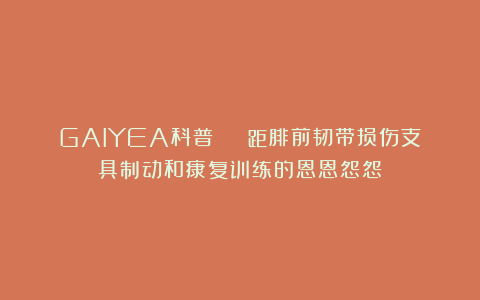 GAIYEA科普 | 距腓前韧带损伤支具制动和康复训练的恩恩怨怨