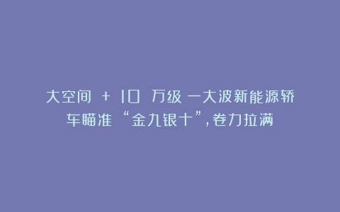 大空间 + 10 万级！一大波新能源轿车瞄准 “金九银十”，卷力拉满