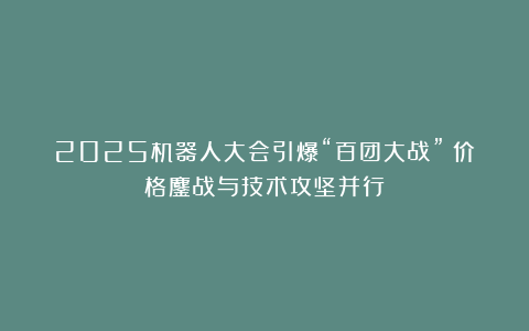 2025机器人大会引爆“百团大战”：价格鏖战与技术攻坚并行