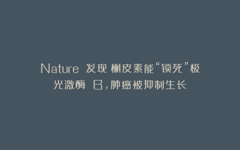 Nature 发现：槲皮素能“锁死”极光激酶 B，肺癌被抑制生长