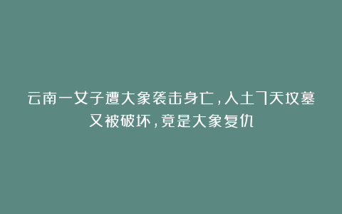 云南一女子遭大象袭击身亡，入土7天坟墓又被破坏，竟是大象复仇