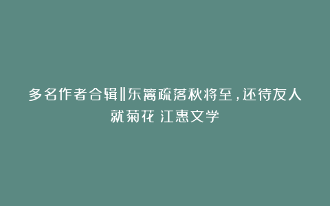 多名作者合辑‖东篱疏落秋将至，还待友人就菊花（江惠文学）