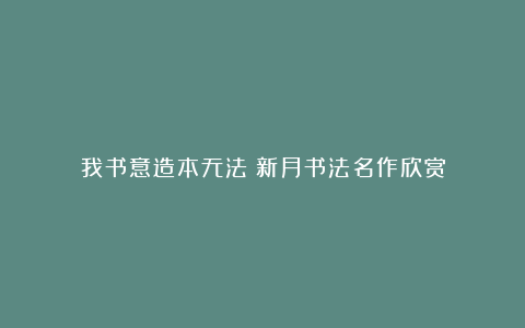 我书意造本无法丨新月书法名作欣赏