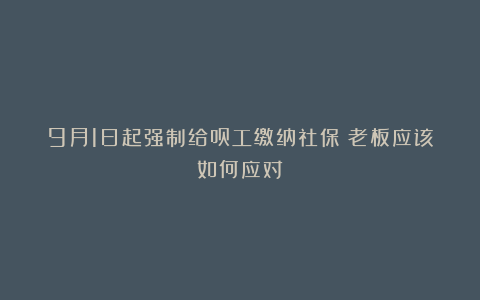 9月1日起强制给员工缴纳社保！老板应该如何应对？