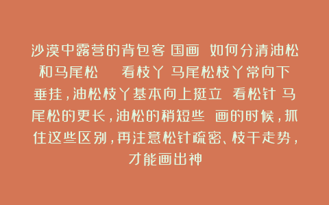 沙漠中露营的背包客：国画 如何分清油松和马尾松 ： 看枝丫：马尾松枝丫常向下垂挂，油松枝丫基本向上挺立 看松针：马尾松的更长，油松的稍短些 画的时候，抓住这些区别，再注意松针疏密、枝干走势，才能画出神