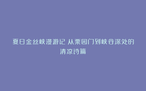 夏日金丝峡漫游记：从栗园门到峡谷深处的清凉诗篇