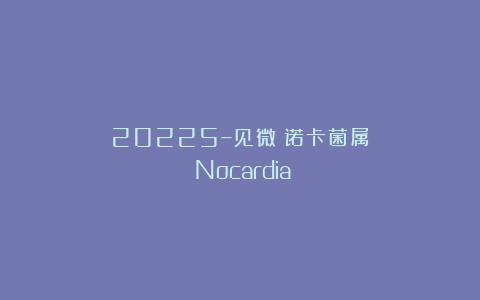 20225–见微丨诺卡菌属（Nocardia）