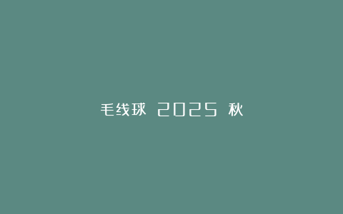 毛线球 2025 秋