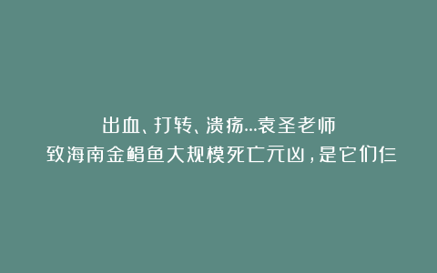 出血、打转、溃疡…袁圣老师:致海南金鲳鱼大规模死亡元凶,是它们仨