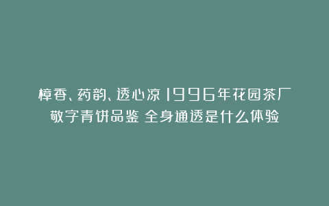 樟香、药韵、透心凉！1996年花园茶厂敬字青饼品鉴：全身通透是什么体验？