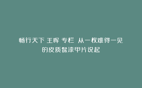畅行天下（王晖）专栏：《从一枚难得一见的皮质髹漆甲片说起》