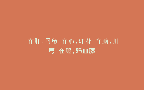 瘀在肝，丹参；瘀在心，红花；瘀在脑，川芎；瘀在腿，鸡血藤！