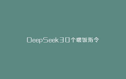 DeepSeek30个喂饭指令