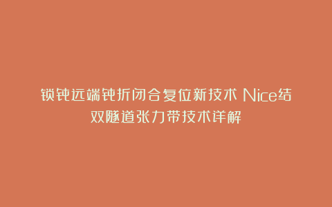 锁骨远端骨折闭合复位新技术：Nice结双隧道张力带技术详解