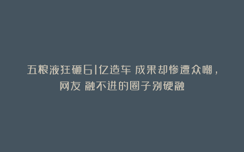 五粮液狂砸61亿造车！成果却惨遭众嘲，网友：融不进的圈子别硬融