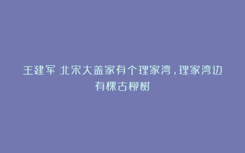 王建军｜北宋大盖家有个理家湾，理家湾边有棵古柳树