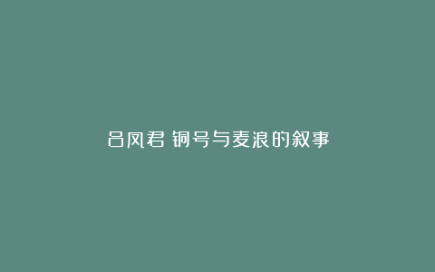 吕凤君：铜号与麦浪的叙事