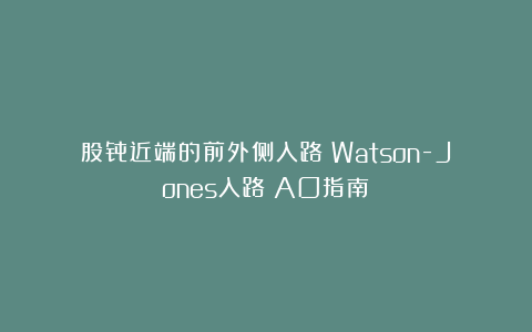 股骨近端的前外侧入路（Watson-Jones入路）AO指南