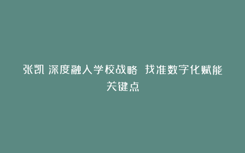 张凯：深度融入学校战略 找准数字化赋能关键点