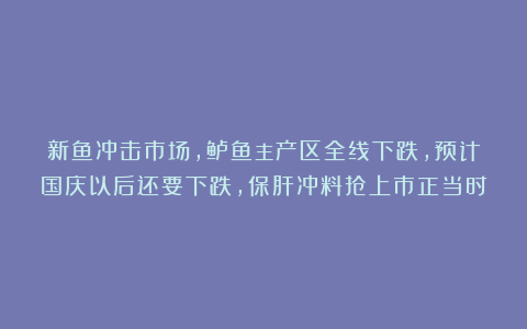 新鱼冲击市场，鲈鱼主产区全线下跌，预计国庆以后还要下跌，保肝冲料抢上市正当时