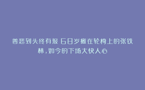 善恶到头终有报!68岁瘫在轮椅上的张铁林,如今的下场大快人心
