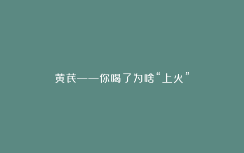 黄芪——你喝了为啥“上火”