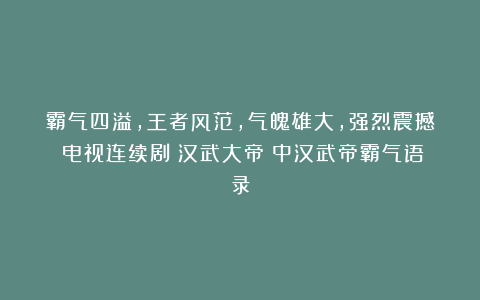 霸气四溢，王者风范，气魄雄大，强烈震撼：电视连续剧《汉武大帝》中汉武帝霸气语录