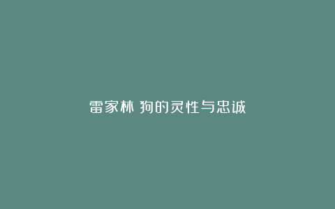 雷家林：狗的灵性与忠诚