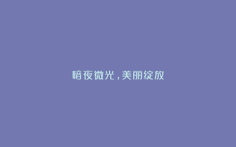 暗夜微光，美丽绽放