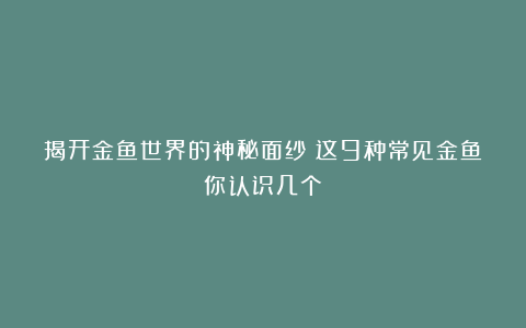 揭开金鱼世界的神秘面纱！这9种常见金鱼你认识几个？