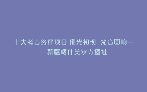 十大考古终评项目丨佛光初现 梵音回响——新疆喀什莫尔寺遗址