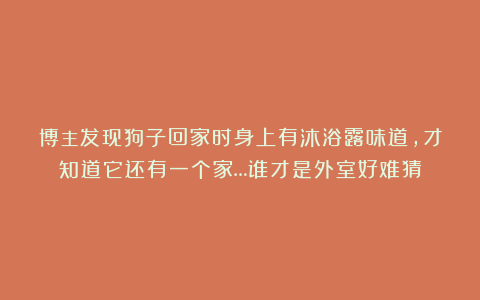 博主发现狗子回家时身上有沐浴露味道，才知道它还有一个家…谁才是外室好难猜
