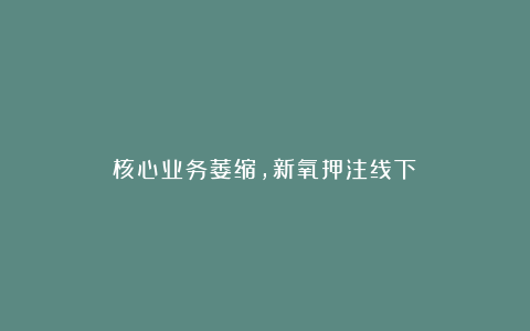 核心业务萎缩，新氧押注线下？