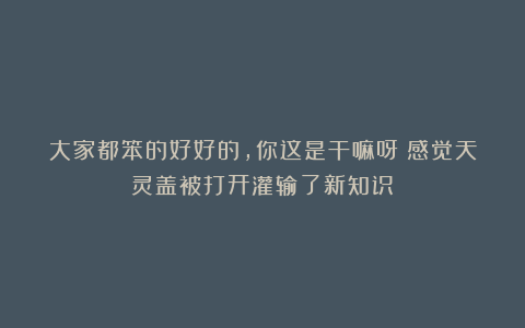 大家都笨的好好的，你这是干嘛呀？感觉天灵盖被打开灌输了新知识