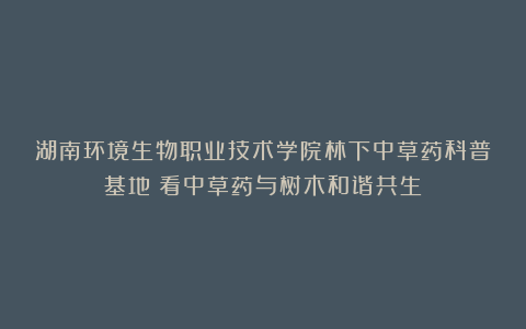 湖南环境生物职业技术学院林下中草药科普基地：看中草药与树木和谐共生