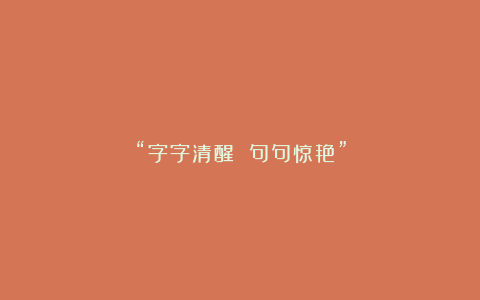 “字字清醒 句句惊艳”