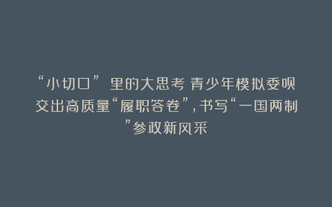 “小切口” 里的大思考！青少年模拟委员交出高质量“履职答卷”，书写“一国两制”参政新风采！
