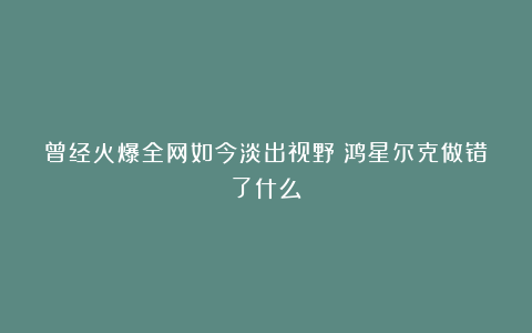 曾经火爆全网如今淡出视野：鸿星尔克做错了什么？