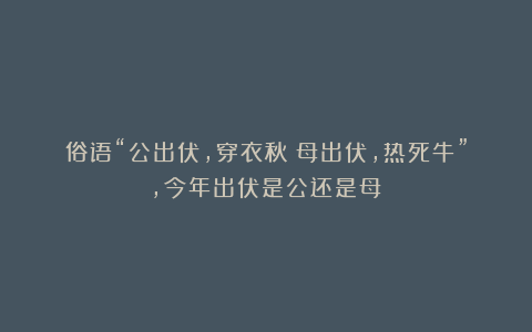俗语“公出伏，穿衣秋；母出伏，热死牛”，今年出伏是公还是母？
