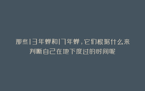 那些13年蝉和17年蝉，它们根据什么来判断自己在地下度过的时间呢？