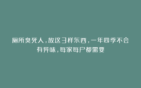 厕所臭死人，放这3样东西，一年四季不会有异味，每家每户都需要