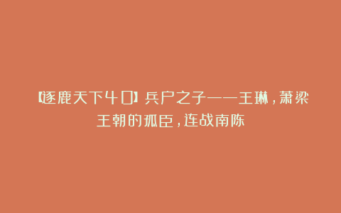 【逐鹿天下40】兵户之子——王琳，萧梁王朝的孤臣，连战南陈