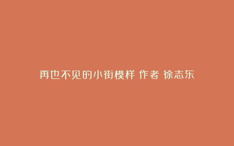 再也不见的小街模样（作者：徐志东）