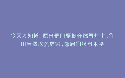 今天才知道，原来把白醋倒在燃气灶上，作用居然这么厉害，邻居们纷纷来学！