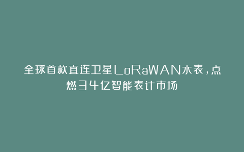 全球首款直连卫星LoRaWAN水表，点燃34亿智能表计市场！